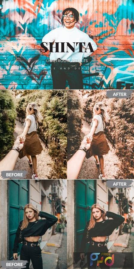 Shinta Lightroom Presets Dekstop and Mobile