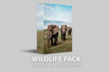 Freepsdvn.com 2107364 Preset Wildlife Deluxe Edition For Mobile And Desktop E63n6fv Cover