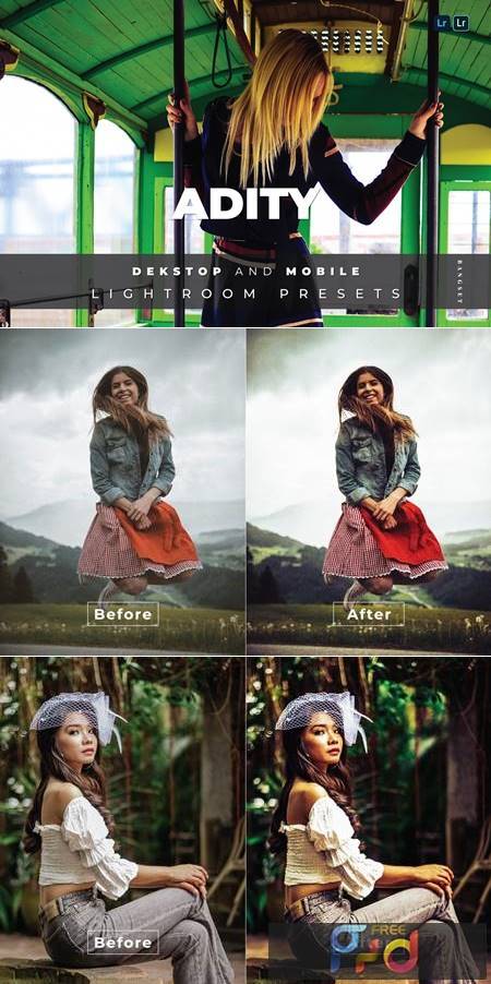 FreePsdVn.com 2108134 PRESET adity desktop and mobile lightroom preset hep34r7