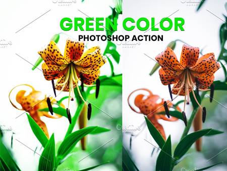 FreePsdVn.com 2109015 ACTION green color photoshop action 5953604 cover