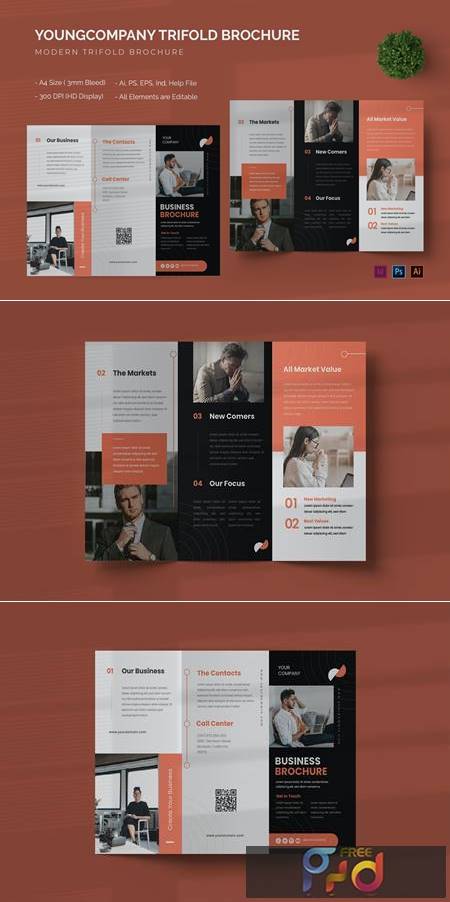 Youngcompany   Trifold Brochure