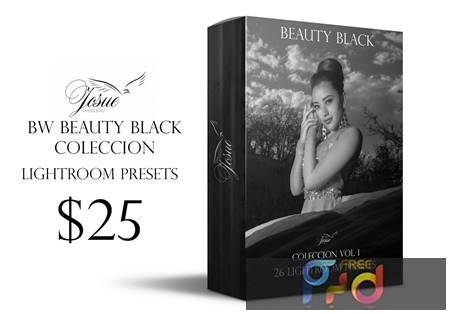 FreePsdVn.com 2110140 PRESET beauty black lightroom presets 1756910