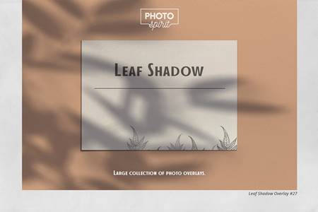 FreePsdVn.com 2110280 STOCK leaf shadow overlays 6341914 cover