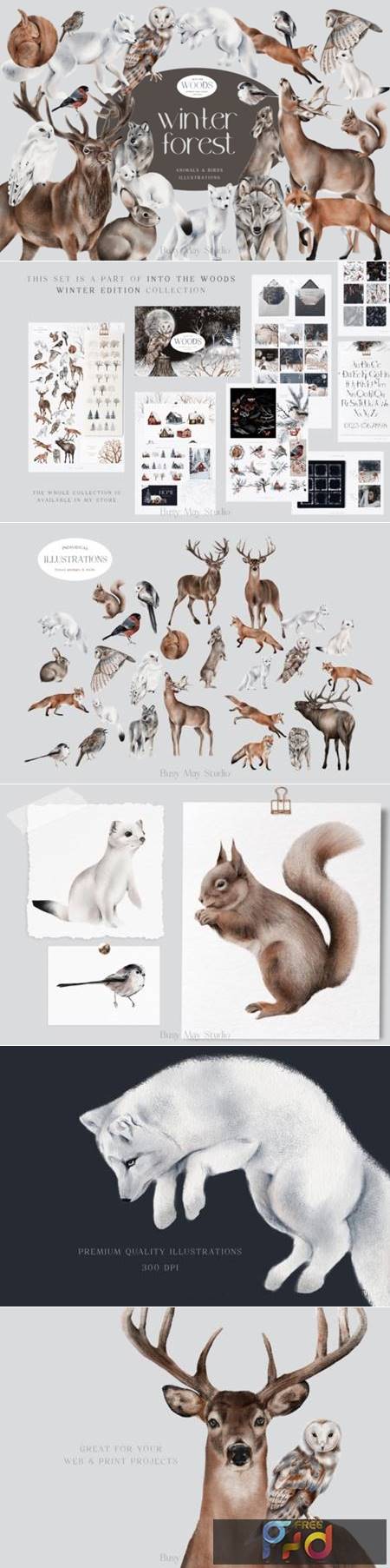 FreePsdVn.com 2111454 STOCK winter forest animals and birds png 18762380