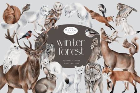 FreePsdVn.com 2111454 STOCK winter forest animals and birds png 18762380 cover