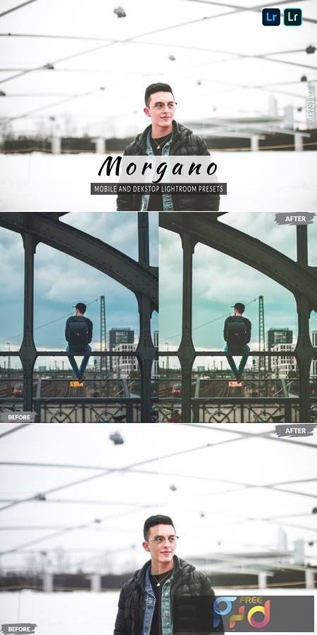 Morgano Lightroom Presets Dekstop and Mobile AKLAUCQ 1