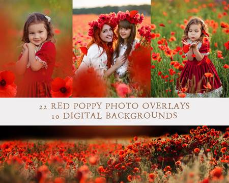 FreePsdVn.com 2112522 STOCK kimla designs wild poppies photo overlays cover