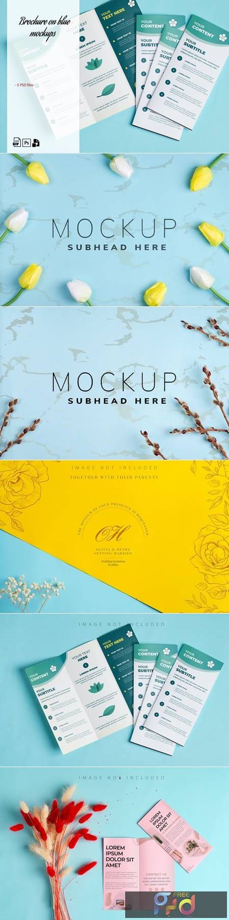 Mockup brochures & backdrop on blue 7TE4A99 1