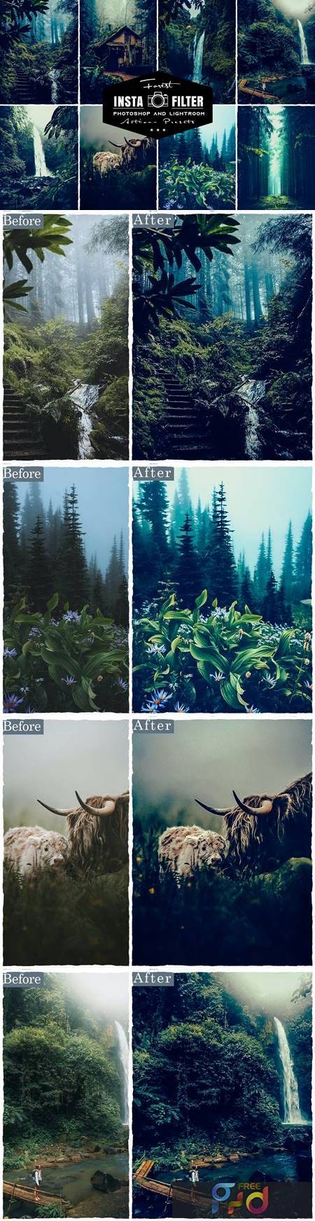 Forest Photoshop Actions & Lightroom Presets YZMZXWS 1