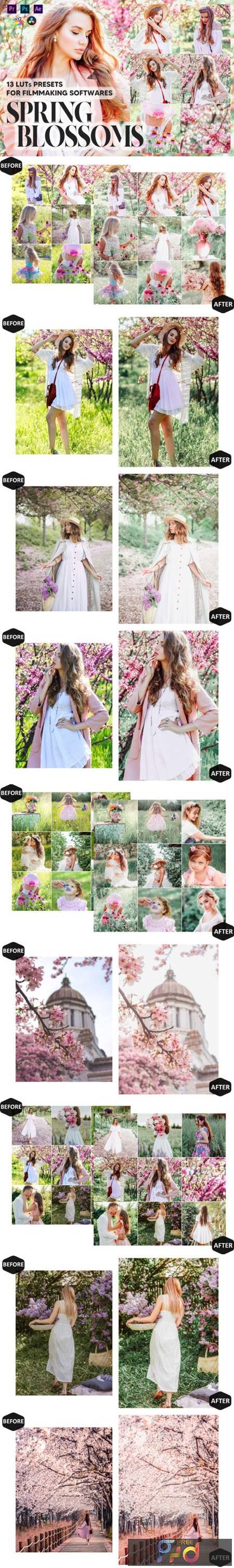 13 Spring Blossoms Video LUTs Presets 23551825 1