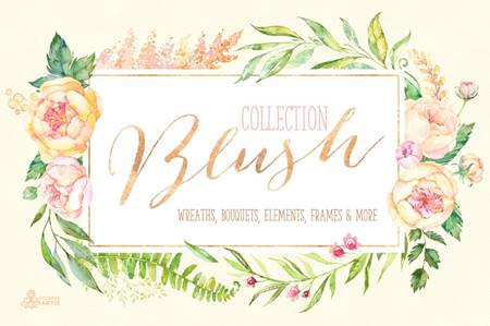 FreePsdVn.com 2204350 STOCK blush floral collection 1408616 cover