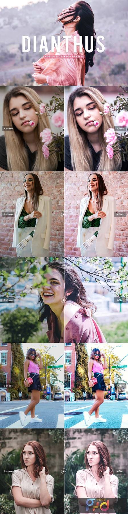 FreePsdVn.com 2204501 PRESET dianthus pro lightroom presets 7148833