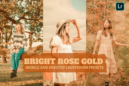 FreePsdVn.com 2205031 PRESET bright rose gold lightroom presets dekstop mobile 9kzwdnb cover
