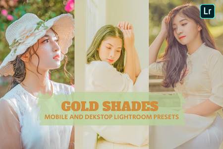 FreePsdVn.com 2205067 PRESET gold shades lightroom presets dekstop and mobile ek97s8v cover