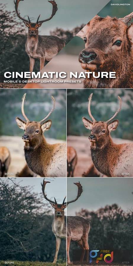 Cinematic Nature Lightroom Presets & LUTs 8RFEFM6 1