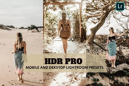 FreePsdVn.com 2207099 PRESET hdr pro lightroom presets dekstop and mobile jz4phsh cover