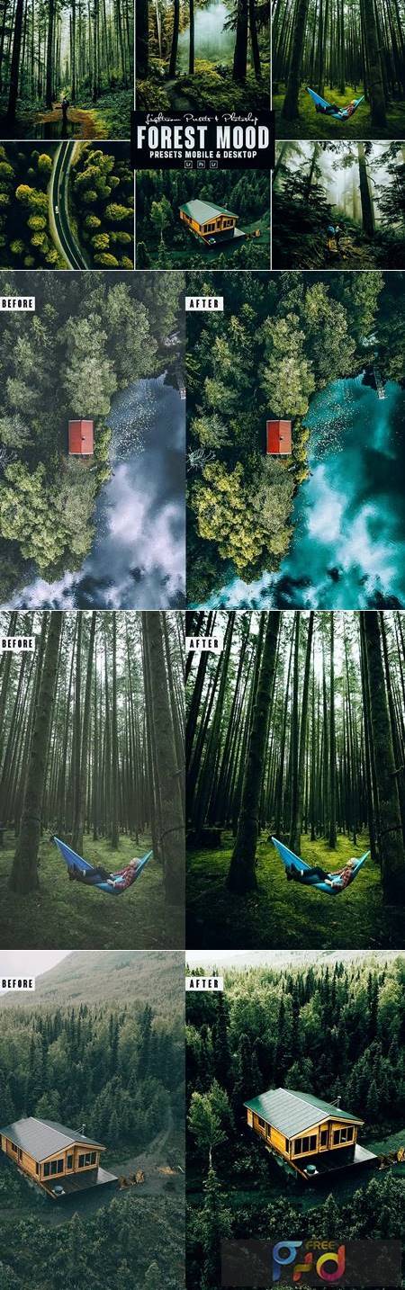Forest Photoshop Action & Lightrom Presets FTMF6K9 1