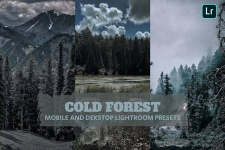 FreePsdVn.com 2209322 PRESET cold forests lightroom presets dekstop and mobile zjst6ns cover