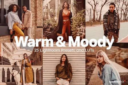 FreePsdVn.com 2210500 PRESET 25 warm and moody lightroom presets and luts n8aq873 cover