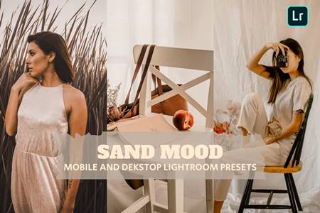 FreePsdVn.com 2211155 PRESET sand mood lightroom presets dekstop and mobile w2sjq5h cover