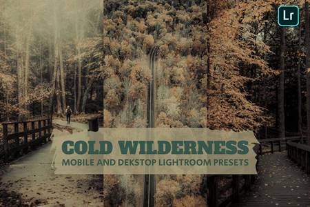 FreePsdVn.com 2211206 PRESET cold wilderness lightroom presets dekstop mobile aw86avn cover