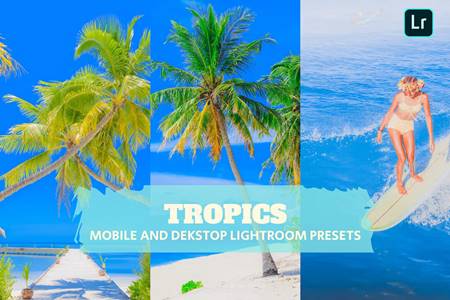 FreePsdVn.com 2211248 PRESET tropics lightroom presets dekstop and mobile 4bvhddz cover