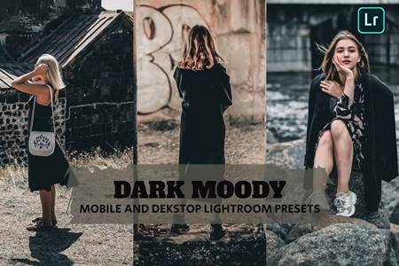 FreePsdVn.com 2211269 PRESET dark moody lightroom presets dekstop and mobile q9zk8uk cover