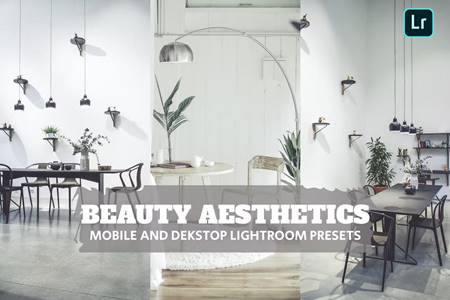 FreePsdVn.com 2211443 PRESET beauty aesthetics lightroom presets dekstop mobile 9allucs cover