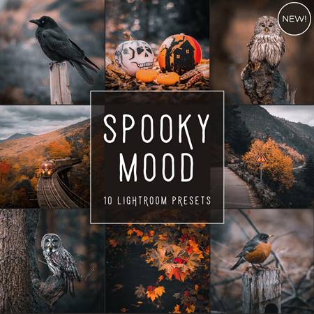 FreePsdVn.com 2211527 PRESET spooky mood limited lightroom presets pack cover