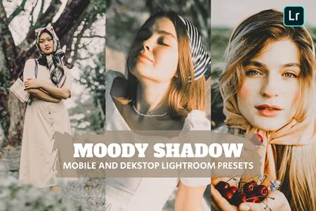 FreePsdVn.com 2212371 PRESET moody shadow lightroom presets dekstop and mobile e5vyk7u cover