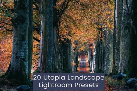 FreePsdVn.com 2301209 PRESET 20 utopia landscape lightroom presets l6ar325 cover
