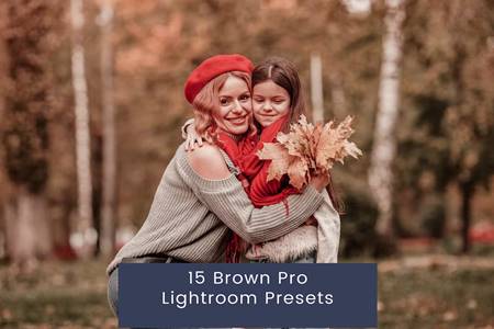 FreePsdVn.com 2302052 PRESET 15 brown pro lightroom presets fwswkf3 cover