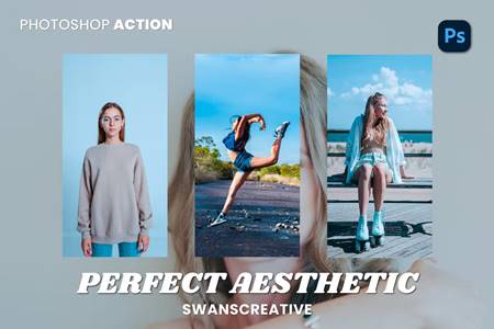 FreePsdVn.com 2302502 ACTION perfect aesthetic photoshop action fw9qne6 cover