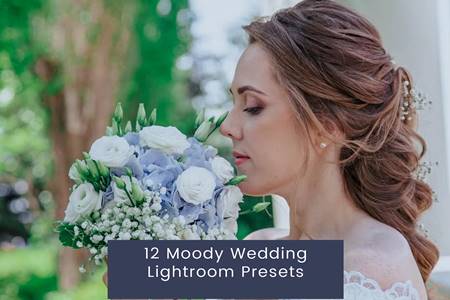 Freepsdvn.com 2303502 Preset 12 Moody Wedding Lightroom Presets Pqxak3w Cover
