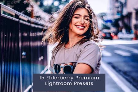 Freepsdvn.com 2303505 Preset 15 Elderberry Premium Lightroom Presets Lxr2vgb Cover