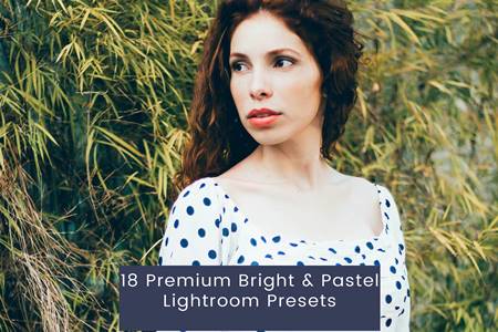 Freepsdvn.com 2304091 Preset 18 Premium Bright Pastel Lightroom Presets Bmtp3kz Cover