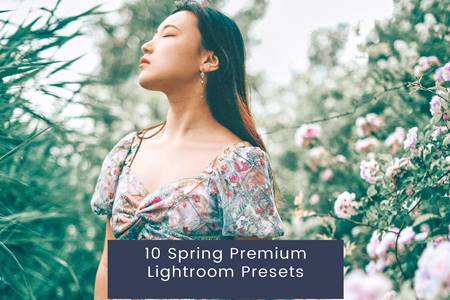 FreePsdVn.com 2305274 PRESET 10 spring premium lightroom presets 4dtqfl3 cover