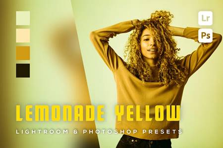 Freepsdvn.com 2306286 Preset 6 Lemonade Yellow Lightroom And Photoshop Presets Xfgy6fs Cover