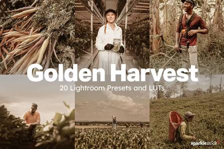 FreePsdVn.com 2306349 PRESET 20 golden harvest lightroom presets and luts 5me9nnn cover