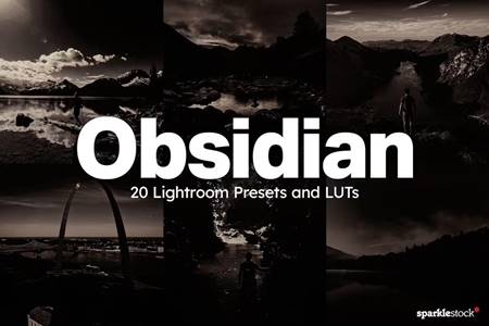FreePsdVn.com 2307019 PRESET 20 obsidian lightroom presets and luts 59u3ahh cover
