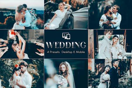 FreePsdVn.com 2307487 PRESET wedding vibes photo effects presets mobile pc 8sgndry cover