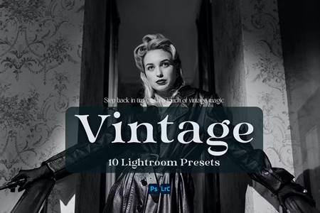 FreePsdVn.com 2307547 PRESET vintage lightroom presets zqejumn cover