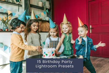 FreePsdVn.com 2308400 PRESET 15 birthday party lightroom presets gr297be cover