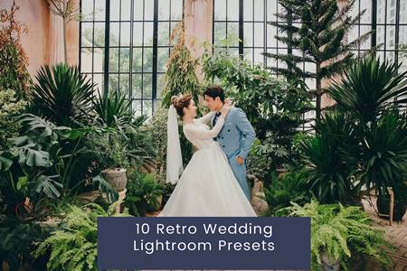 Freepsdvn.com 2308481 Preset 10 Retro Wedding Lightroom Presets Xgbnkac Cover