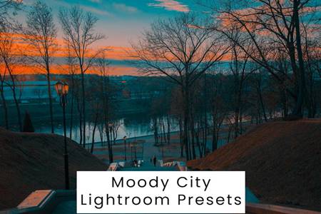 FreePsdVn.com 2309331 PRESET moody city lightroom presets 6j5qdct cover