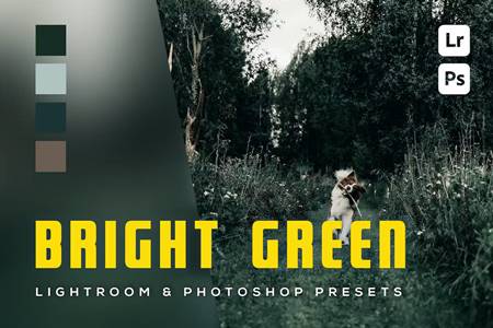 Freepsdvn.com 2309487 Preset 6 Bright Green Lightroom And Photoshop Presets Cpxn2gl Cover