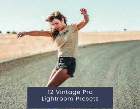 FreePsdVn.com 2310070 PRESET 12 vintage pro lightroom presets jaksgks cover