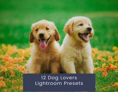 FreePsdVn.com 2310124 PRESET 12 dog lovers lightroom presets zczgl9v cover
