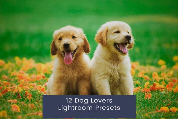 FreePsdVn.com 2310124 PRESET 12 dog lovers lightroom presets zczgl9v cover