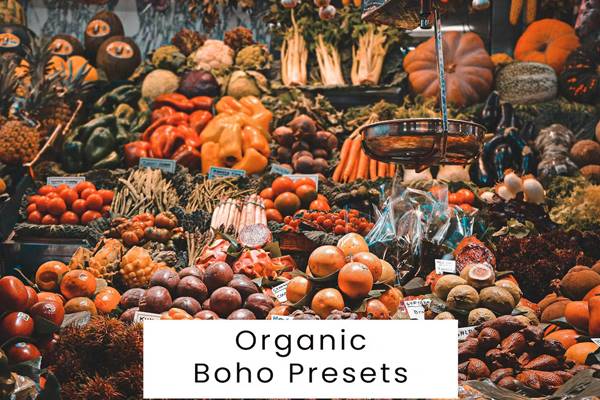 FreePsdVn.com 2310163 PRESET organic boho presets evl5n4t cover